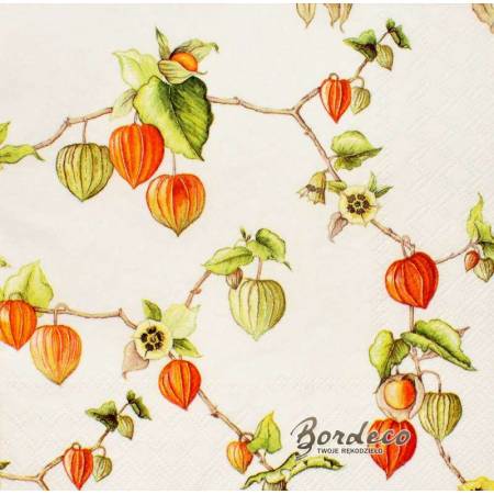 Serwetka decoupage firmy AMBIENTE miechunka 33x33cm